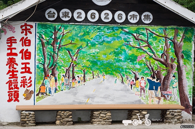 【一個人的旅行】兩鐵台東之旅 bike friday〔伯朗大道、阿智農場、台東熱氣球、鹿野高台、龍田自行車、知本溫泉、卑南豬血湯、徐媽媽蔥油餅〕