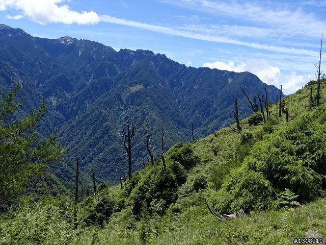親子旅遊-就是要去塔塔加