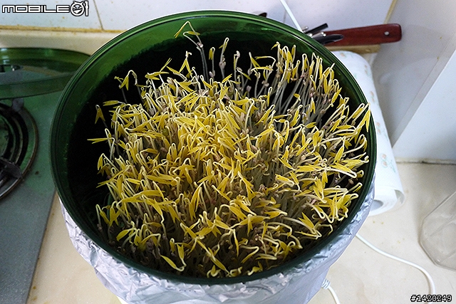 在家當農夫！歐卡爾全自動豆芽機體驗分享
