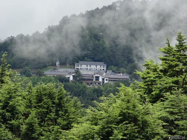 親子旅遊-就是要去塔塔加