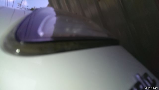 我的馬三好多青苔..