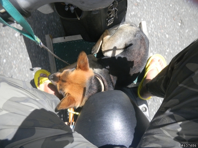 鋼彈菜籃車的宜蘭東澳一日遊