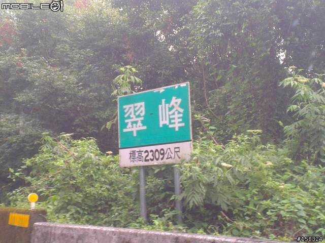 乳白騎士滿三個月開箱