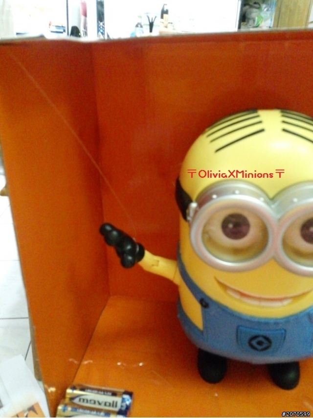 《開箱》集合囉，我的Minions~~~