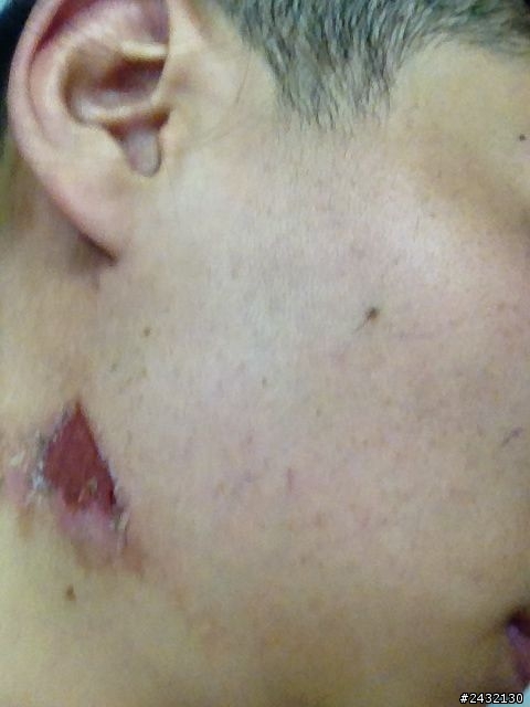 大發慈悲別殺了它...