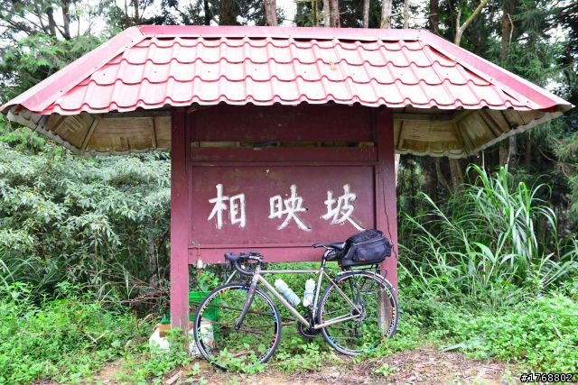 林內車站→竹山→12生肖彎→投49→竹山