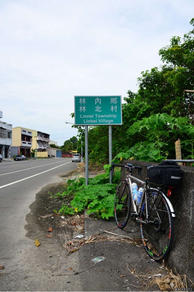林內車站→竹山→12生肖彎→投49→竹山