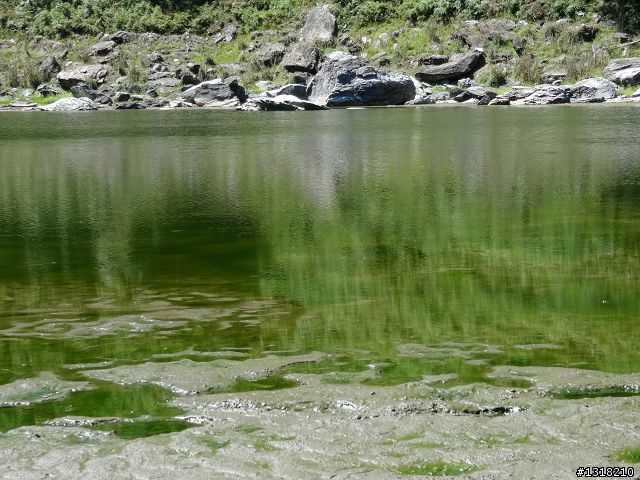 親子旅遊-太魯閣蓮花池步道