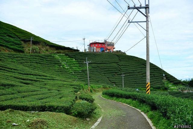 林內車站→竹山→12生肖彎→投49→竹山
