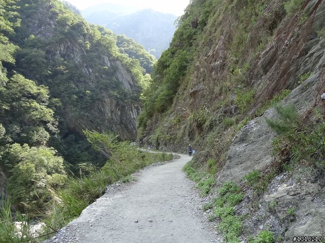 親子旅遊-太魯閣白楊步道