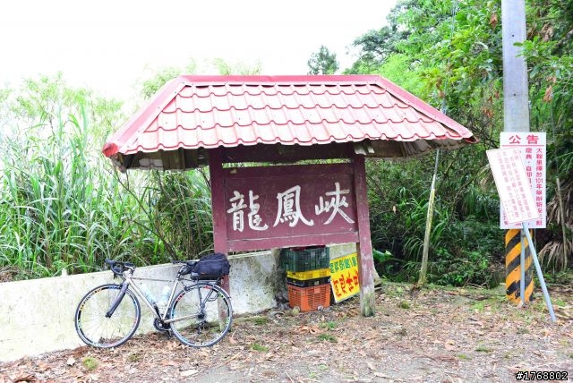 林內車站→竹山→12生肖彎→投49→竹山