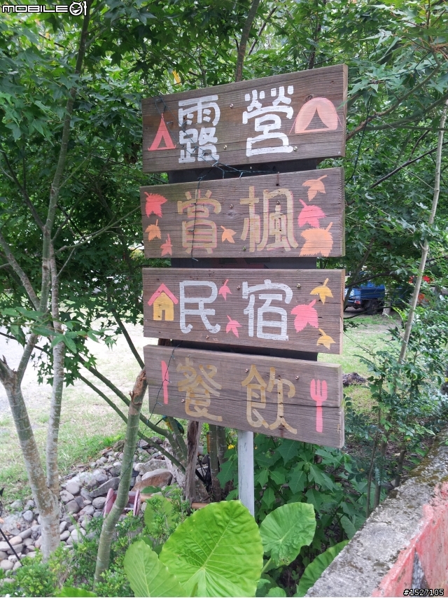 2013/08/03之第8露-新竹尖石美樹營地