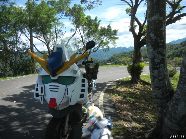 鋼彈菜籃車的宜蘭東澳一日遊
