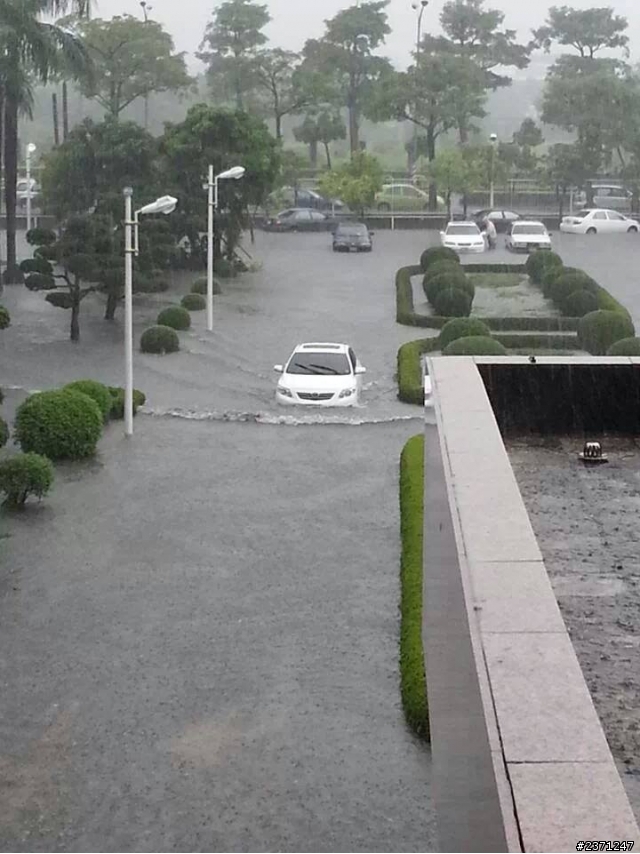 車泡到這個高度 回廠要特別檢查什麼嗎