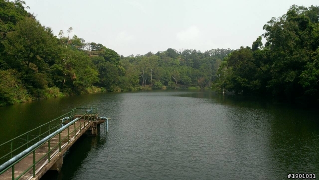 桃園復興鄉一日遊~後慈湖(要預約)~老店家餐廳~角板山蔣公行館~