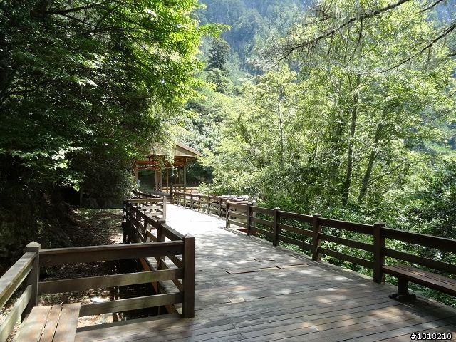 親子旅遊-太魯閣白楊步道