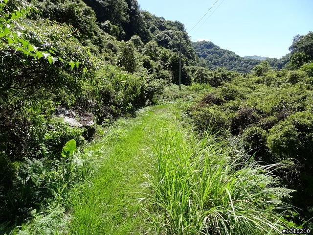 親子旅遊-太魯閣蓮花池步道