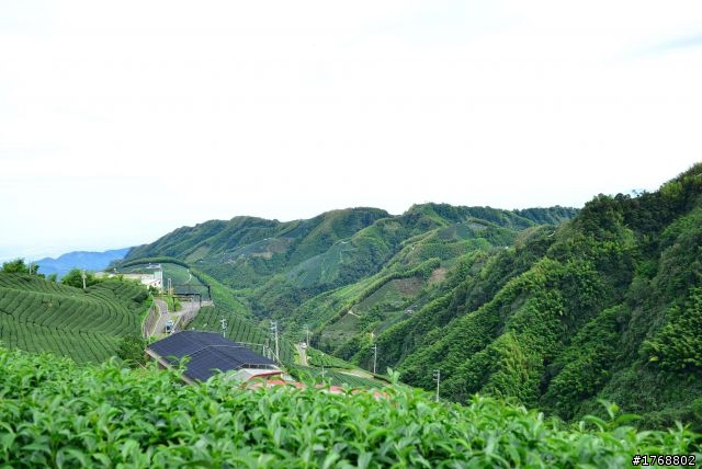 林內車站→竹山→12生肖彎→投49→竹山