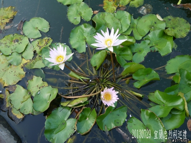 20130729~31 礁溪望龍埤宜蘭忠烈祠羅東仁山植物園新寮瀑布舊寮瀑布蘇澳七星嶺步道之旅