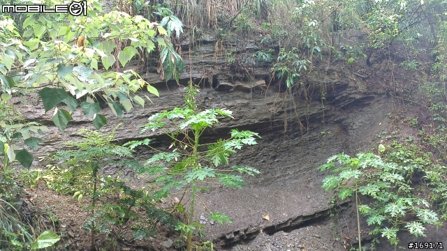 [發問]請問這樣會造成山崩嗎