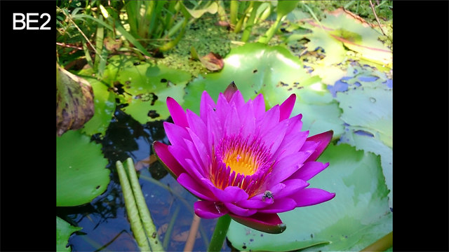 Z Ultra升級到有X-Reality了  該在哪裡享用呢？