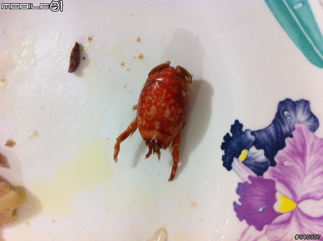 今年8月去宜蘭南澳時，吃到一個很奇妙的東西....