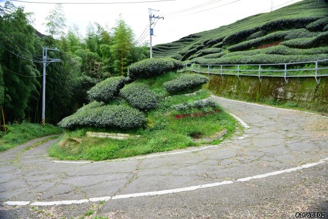林內車站→竹山→12生肖彎→投49→竹山