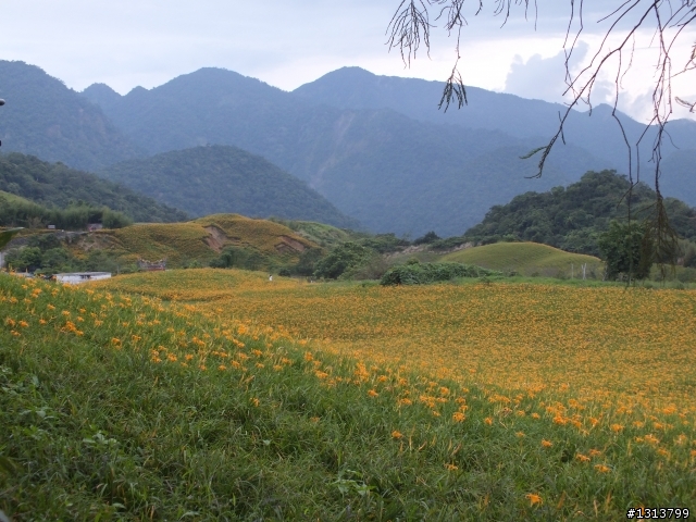 花蓮四日遊油耗記錄