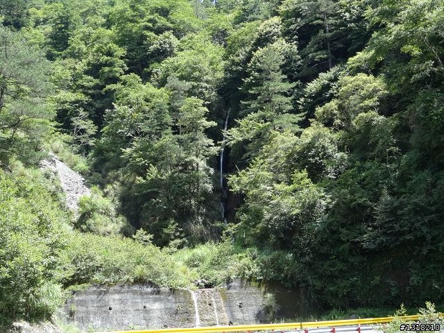親子旅遊-太魯閣白楊步道