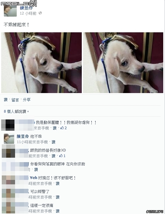 把小狗吊在門把上這樣算不算虐狗!!
