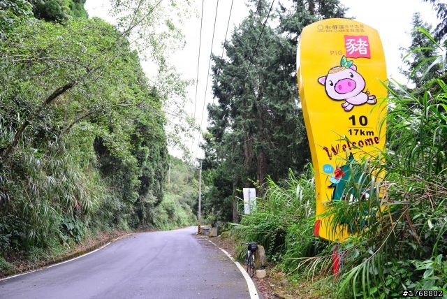林內車站→竹山→12生肖彎→投49→竹山