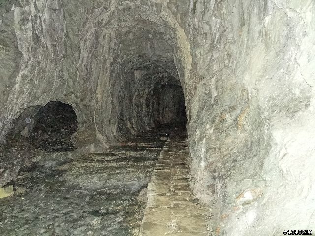 親子旅遊-太魯閣白楊步道