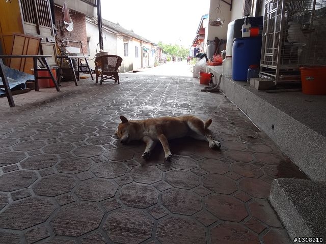 親子旅遊-襪子的故鄉