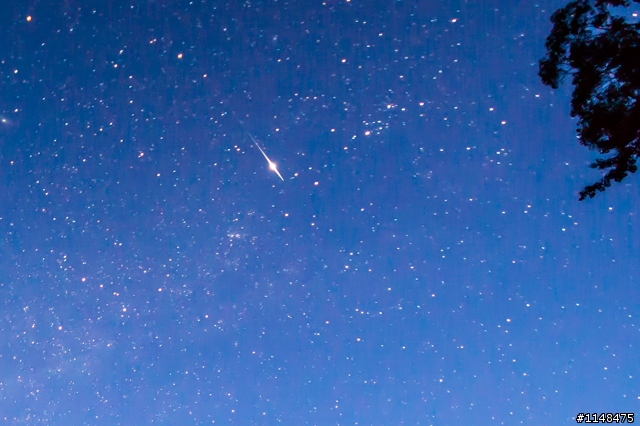 有人去看2013英仙座流星雨的嗎