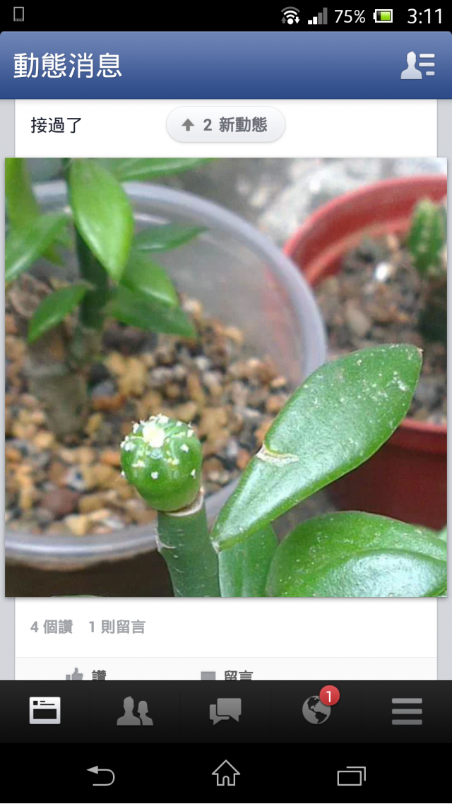 請問有人的臉書上排的功能健跑到下方嗎?