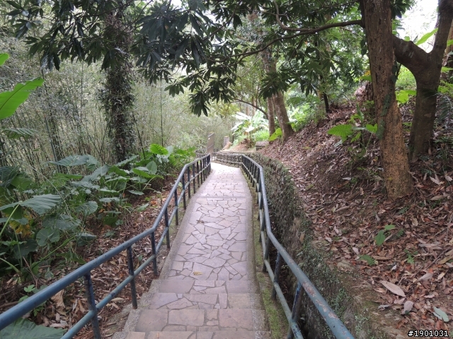 桃園復興鄉一日遊~後慈湖(要預約)~老店家餐廳~角板山蔣公行館~