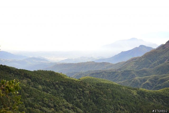 林內車站→竹山→12生肖彎→投49→竹山