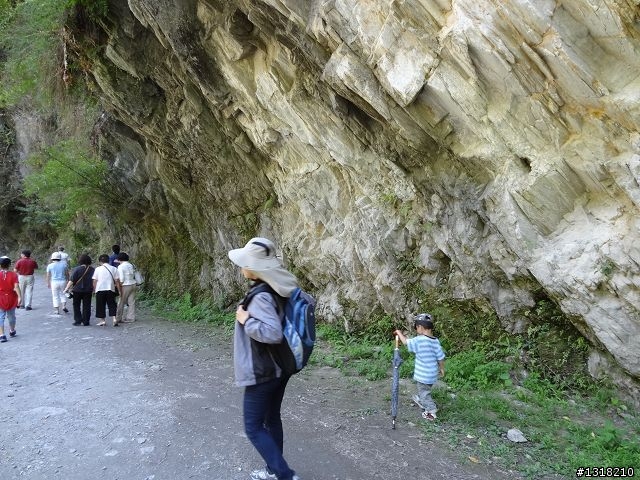 親子旅遊-太魯閣白楊步道