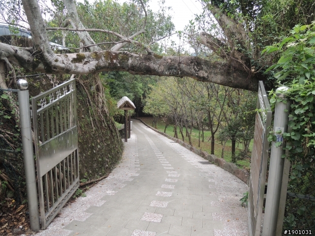 桃園復興鄉一日遊~後慈湖(要預約)~老店家餐廳~角板山蔣公行館~