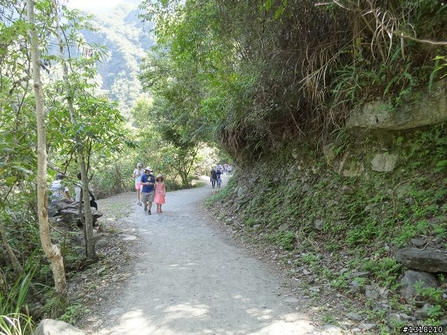 親子旅遊-太魯閣白楊步道