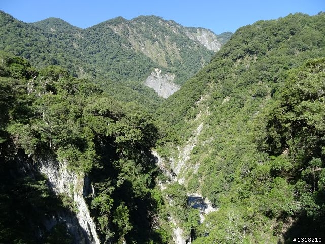 親子旅遊-太魯閣蓮花池步道