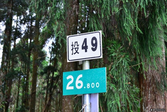 林內車站→竹山→12生肖彎→投49→竹山