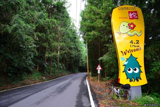 林內車站→竹山→12生肖彎→投49→竹山