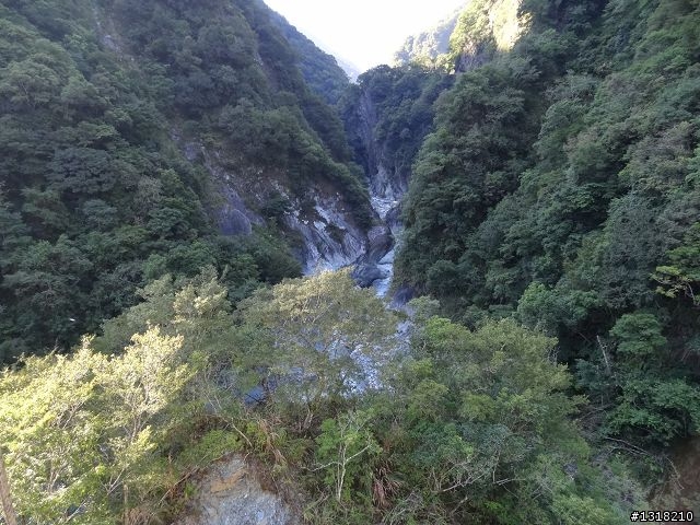 親子旅遊-太魯閣蓮花池步道