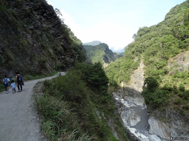 親子旅遊-太魯閣白楊步道