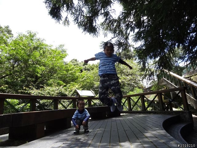 親子旅遊-太魯閣白楊步道