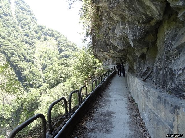 親子旅遊-太魯閣蓮花池步道