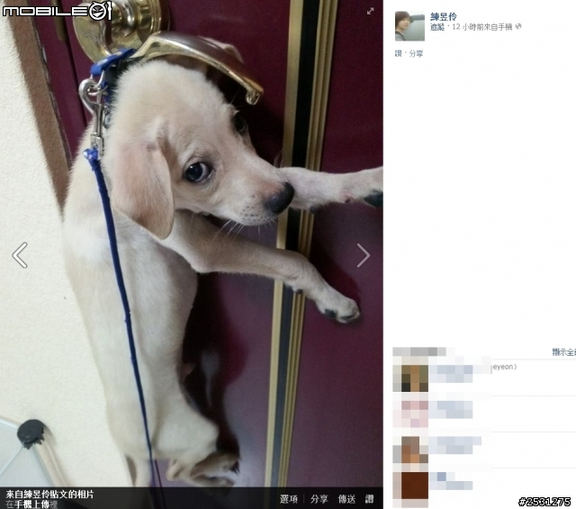 把小狗吊在門把上這樣算不算虐狗!!