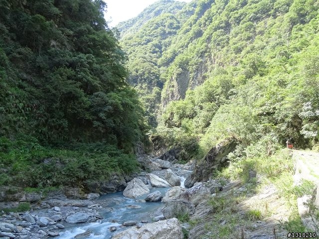 親子旅遊-太魯閣白楊步道