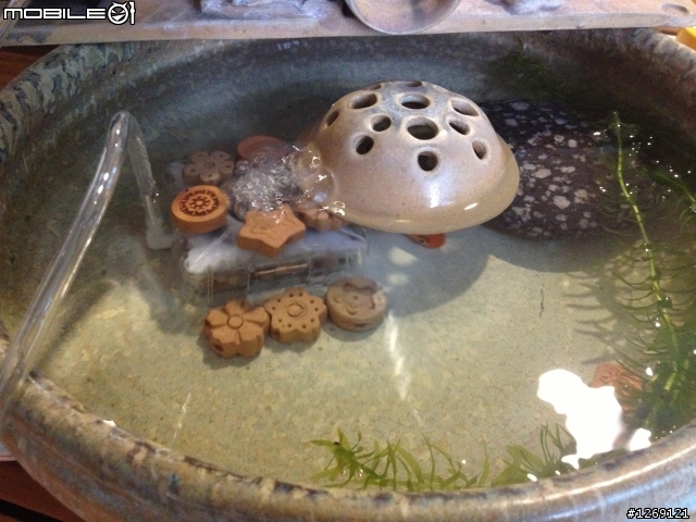 請教一下有養魚的前輩 這樣的魚缸會有什麼問題嗎?